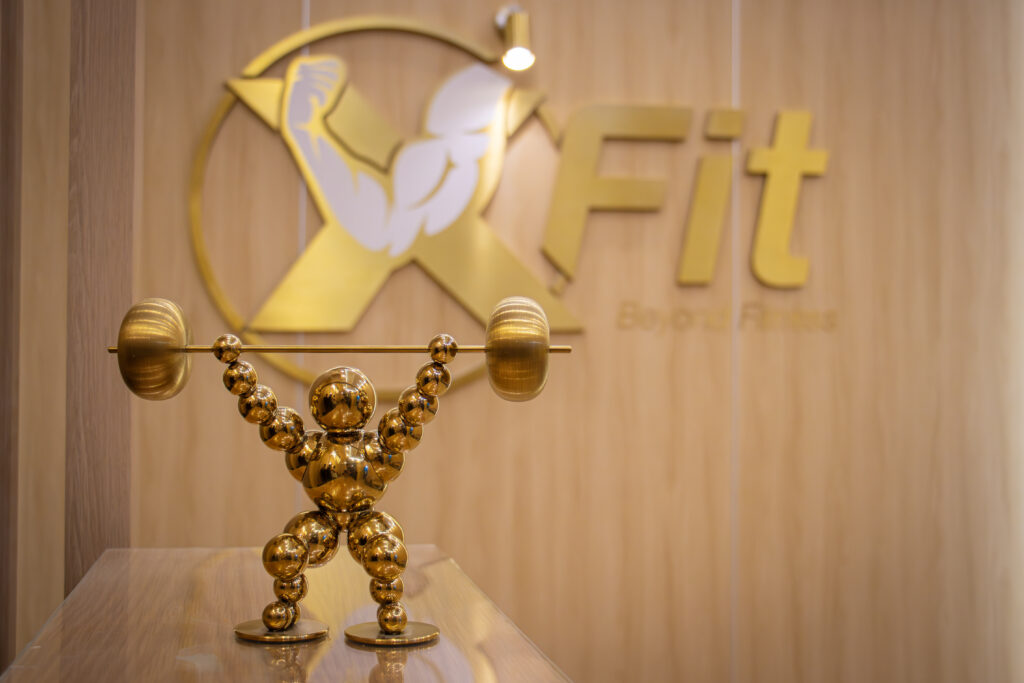 Xfit Head Office al nadha Sharjah, xfit gym